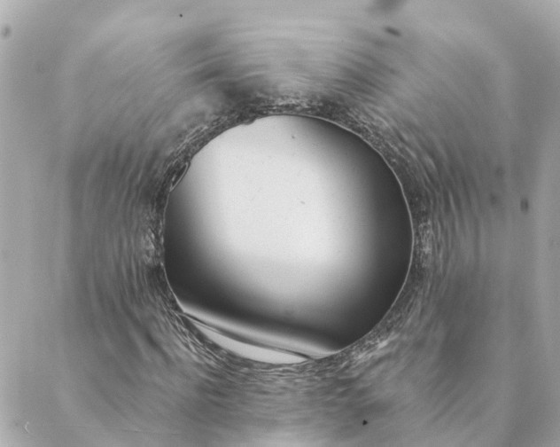 X0000089420916200706291029