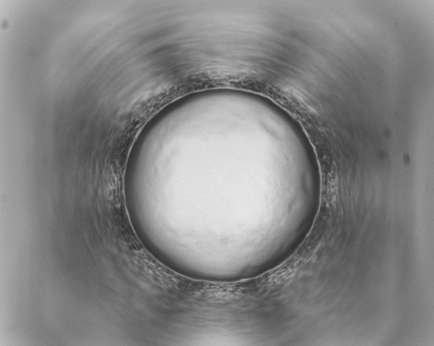 X0000089420917200706291029