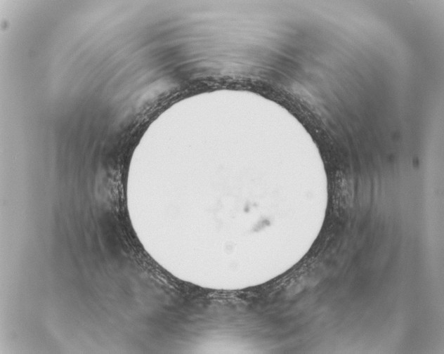 X0000089420918200706291029