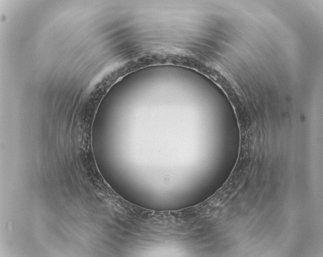 X0000089420919200706291029