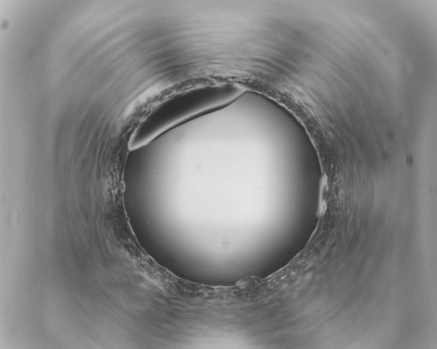 X0000089420920200706291029