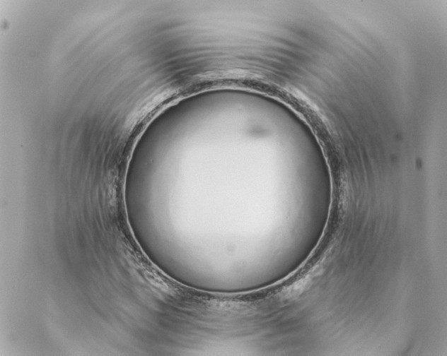 X0000089420921200706291029