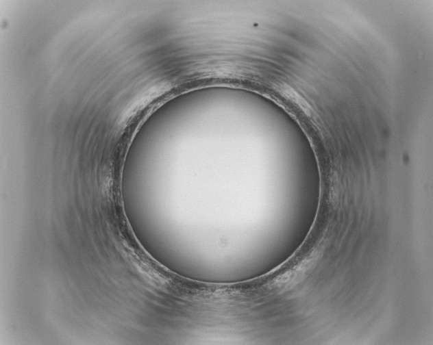 X0000089420922200706291029