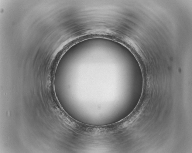 X0000089420923200706291029