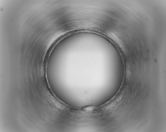 X0000089420924200706291029