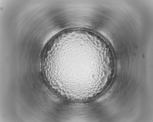 X0000089420925200706291029