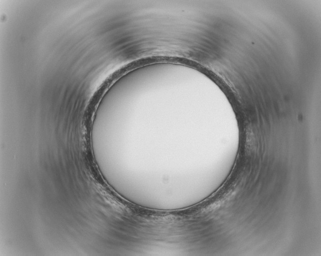 X0000089420926200706291029