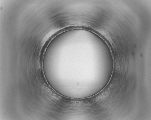 X0000089420927200706291029