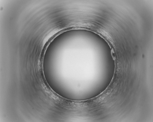 X0000089420928200706291029