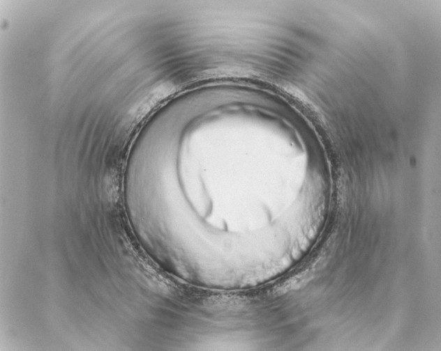 X0000089420929200706291029