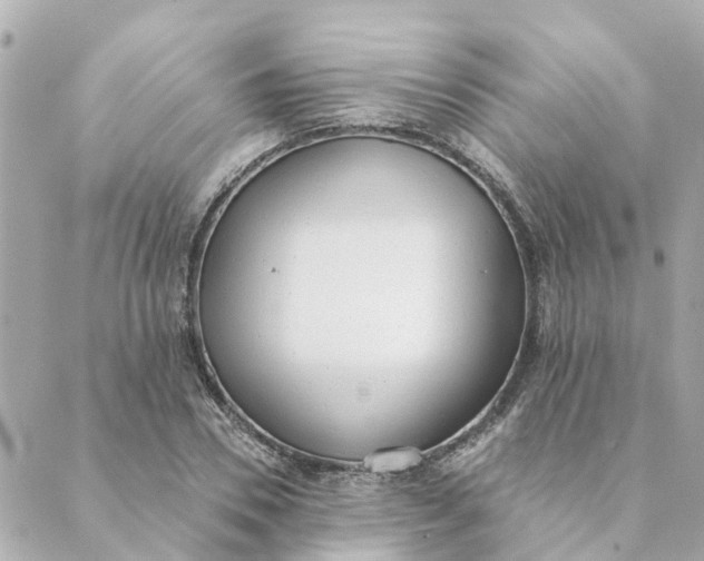 X0000089420930200706291029