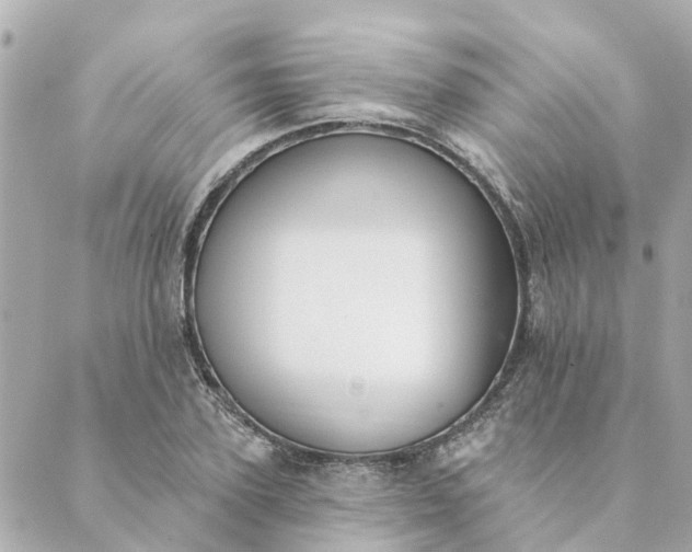 X0000089420931200706291029