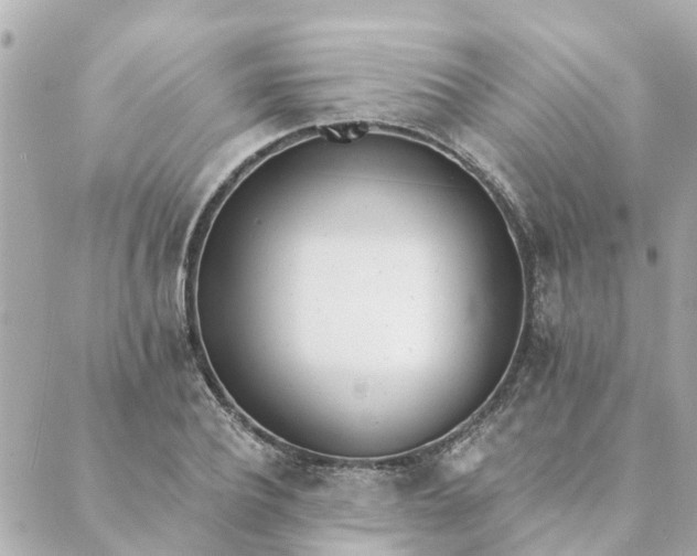 X0000089420932200706291029