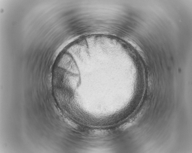 X0000089420933200706291029