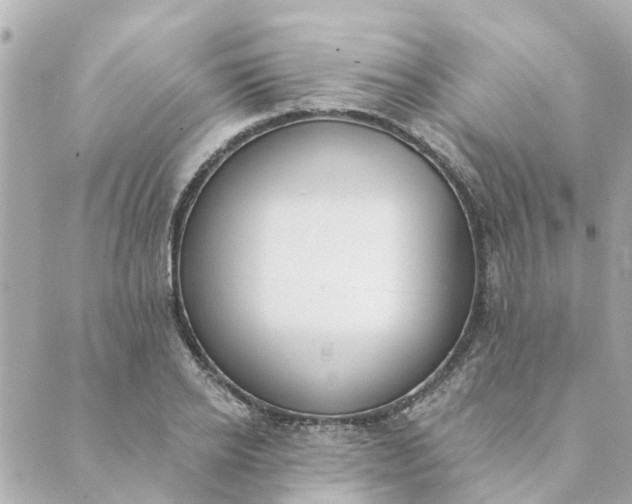 X0000089420934200706291029