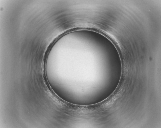 X0000089420935200706291029