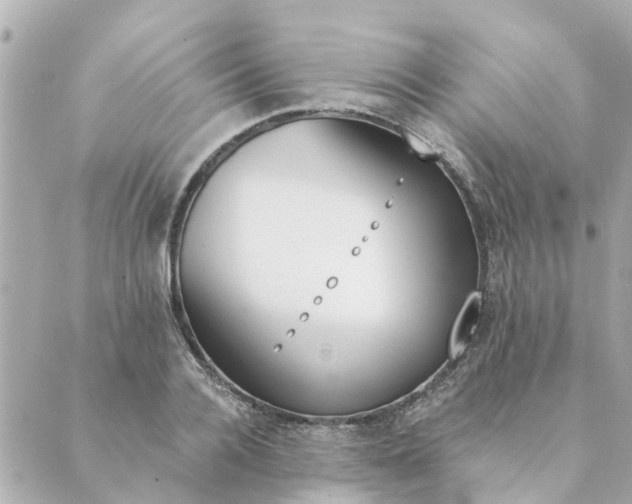 X0000089420936200706291029