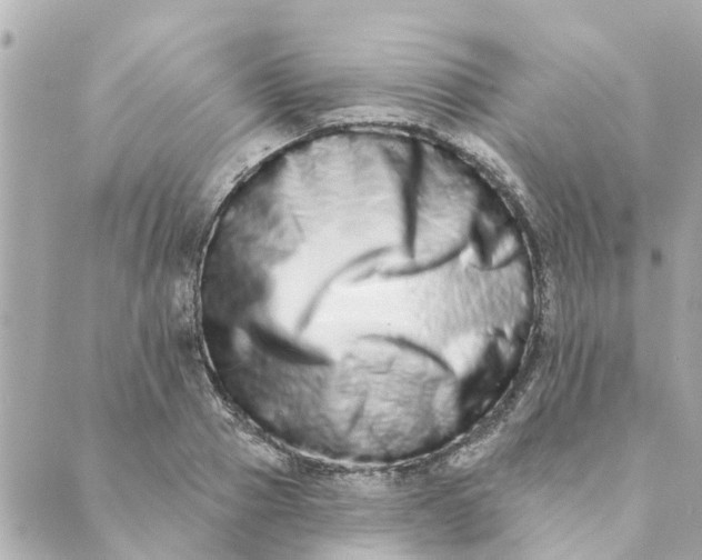 X0000089420937200706291029