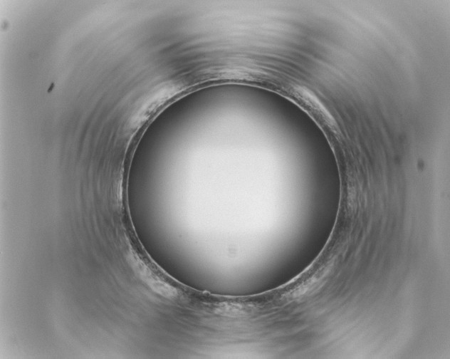 X0000089420938200706291029