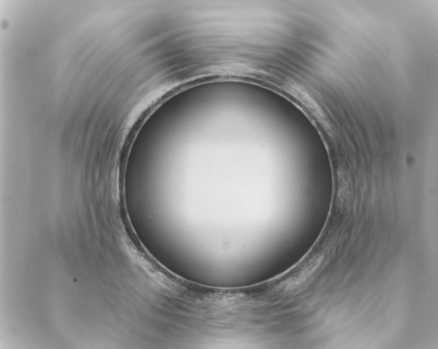 X0000089420939200706291029