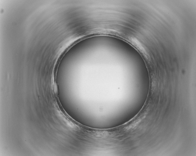 X0000089420940200706291029