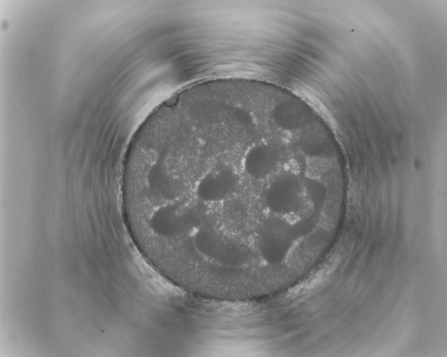 X0000089420941200706291029