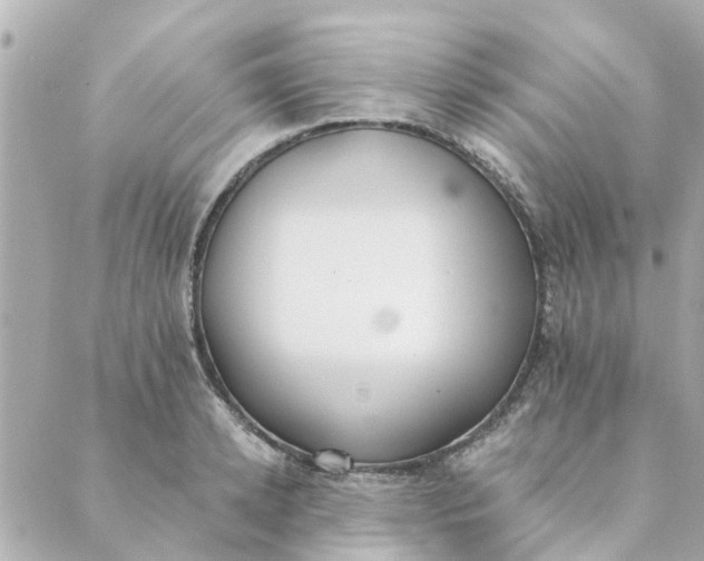 X0000089420942200706291029