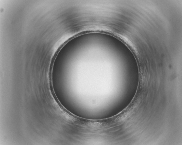 X0000089420943200706291029