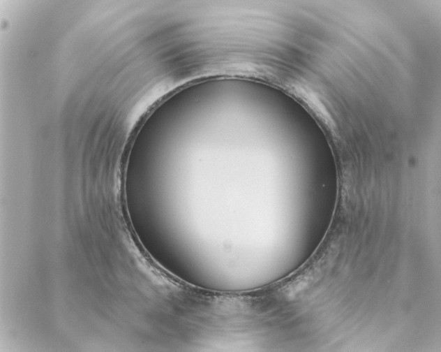 X0000089420944200706291029