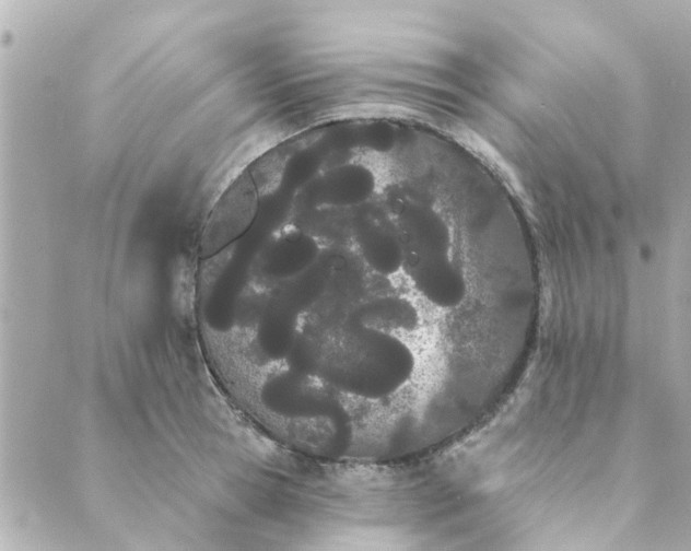 X0000089420945200706291029