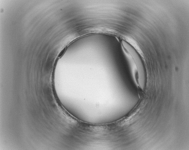 X0000089420946200706291029