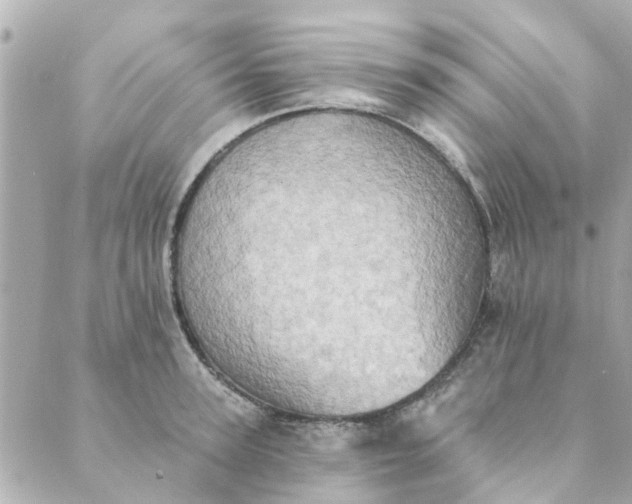 X0000089420947200706291029