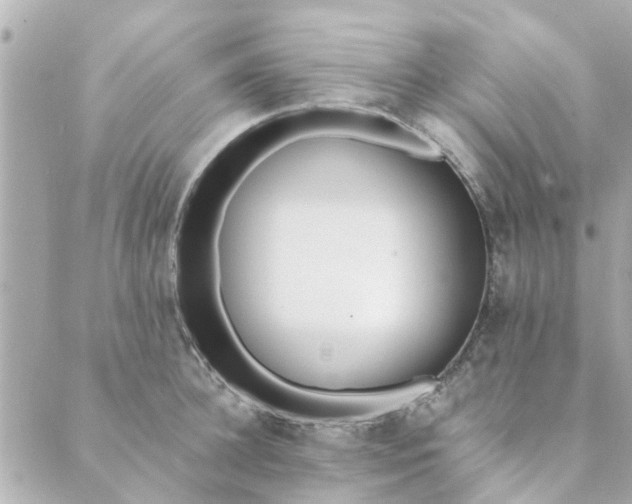 X0000089420948200706291029