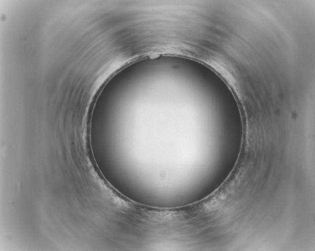 X0000089420949200706291029