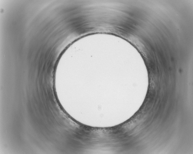 X0000089420950200706291029