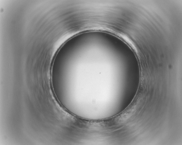 X0000089420951200706291029