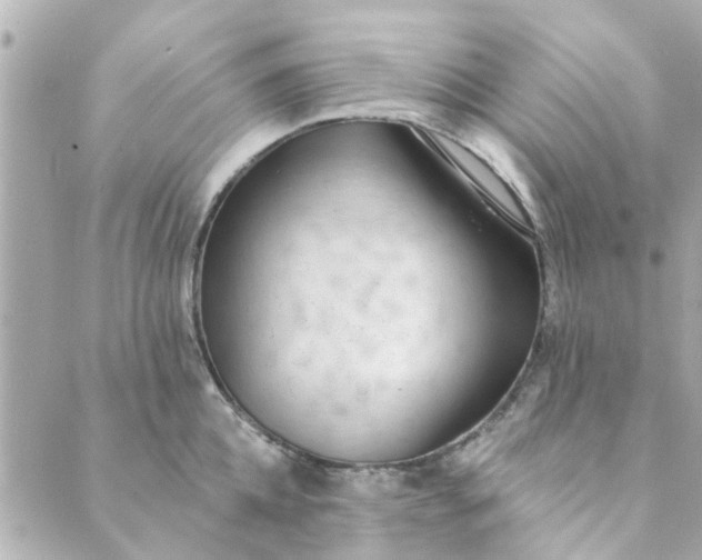 X0000089420952200706291029