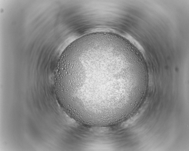 X0000089420953200706291029