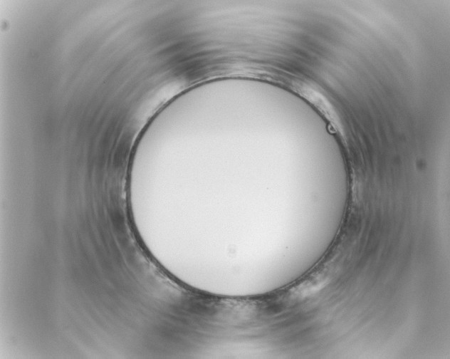 X0000089420954200706291029