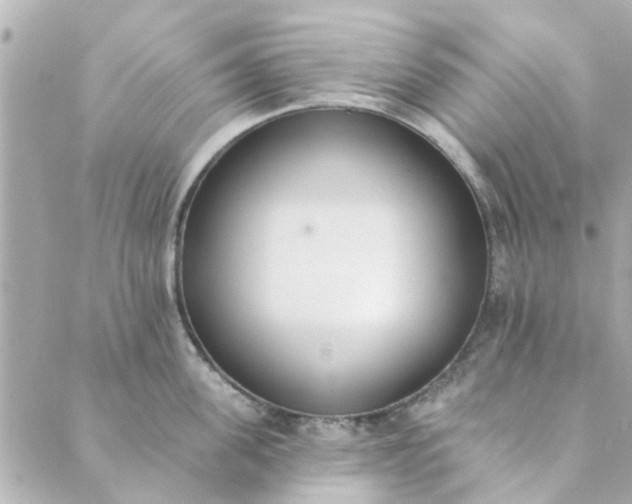 X0000089420955200706291029