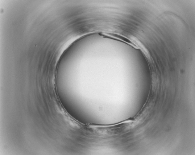 X0000089420956200706291029