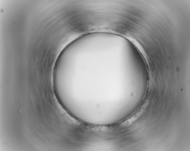 X0000089420957200706291029