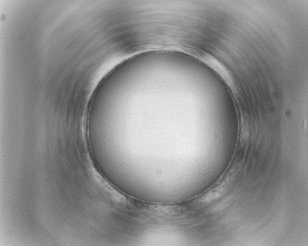 X0000089420958200706291029