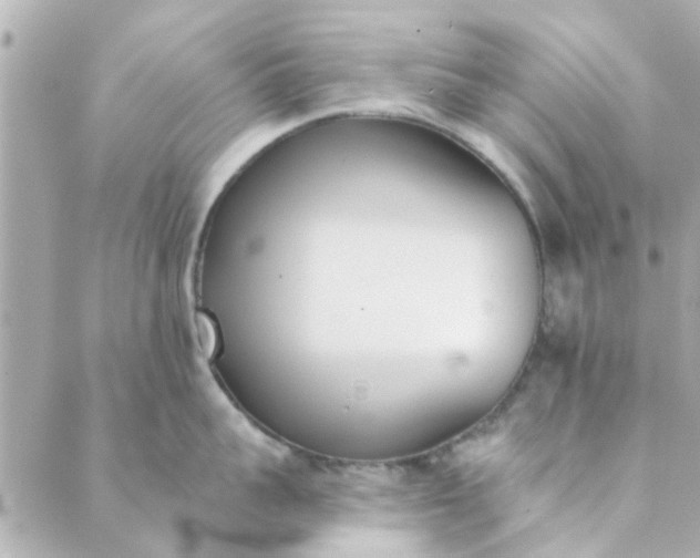 X0000089420959200706291030