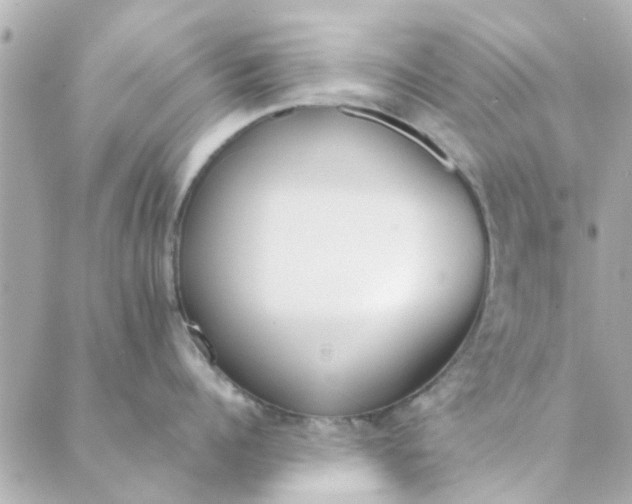 X0000089420960200706291030