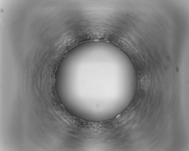 X0000089420961200706291029