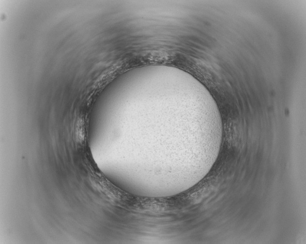 X0000089420962200706291029