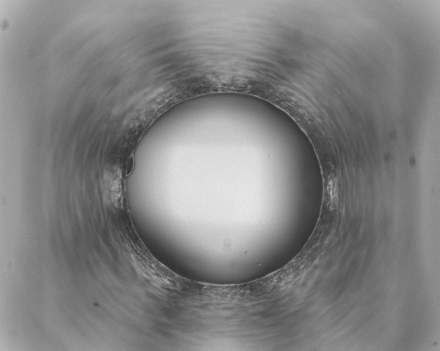 X0000089420963200706291029