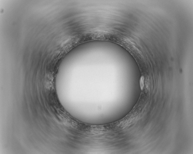 X0000089420964200706291029