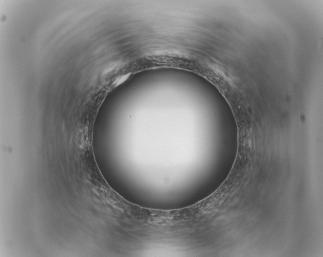 X0000089420965200706291029